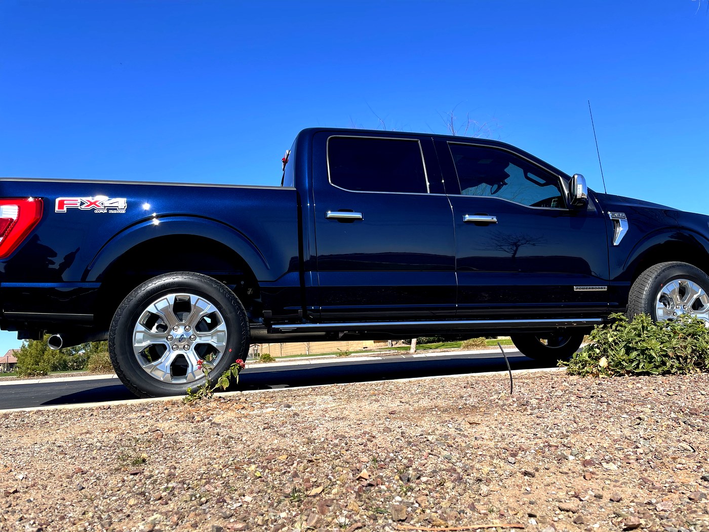 Exterior detail — dark blue F-150 FX4 gleaming side profile